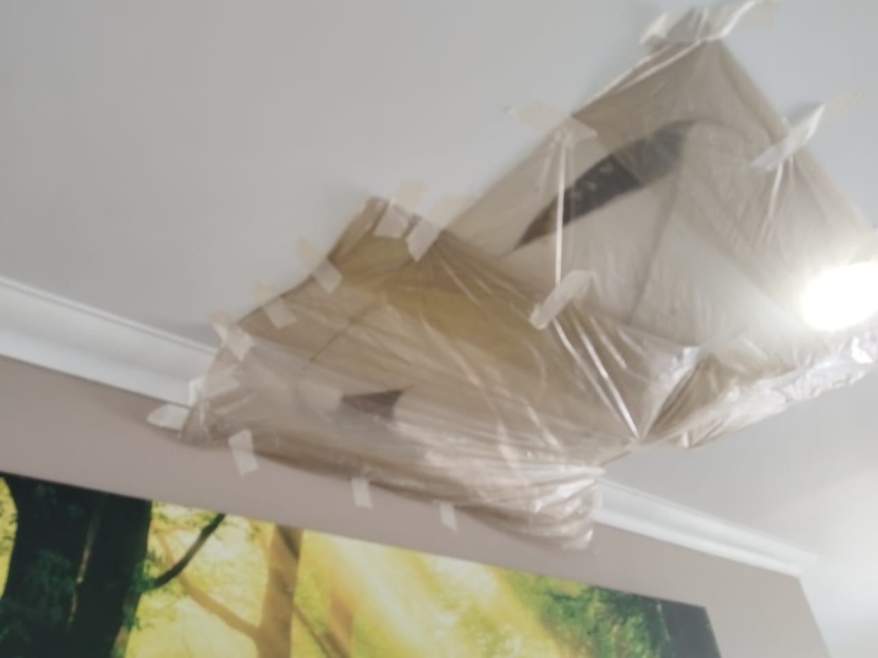 Professional Carpentry Services in Midrand – Ceiling Replacement & Repairs